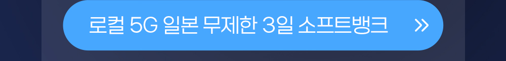 일본 무제한 3일 버튼