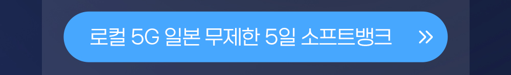 일본 무제한 5일 버튼